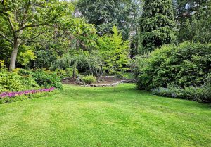 Optimiser l'expérience du jardin à Framerville-Rainecourt